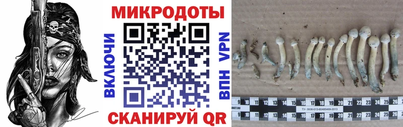 Псилоцибиновые грибы MAGIC MUSHROOMS  Высоковск 
